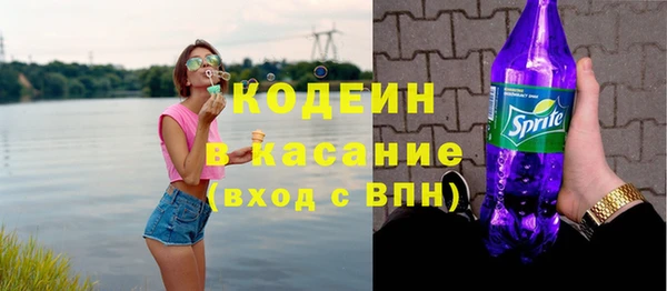 индика Киреевск