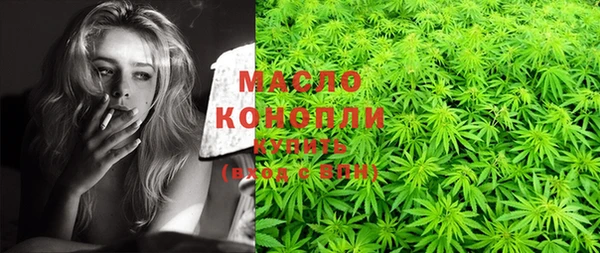 индика Киреевск