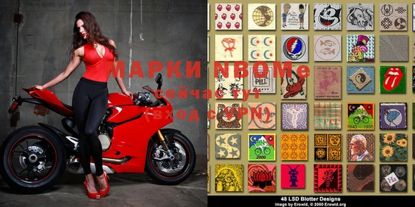 индика Киреевск