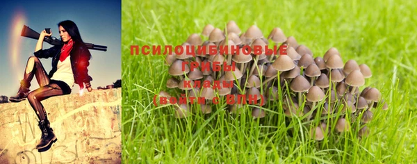 стафф Карталы