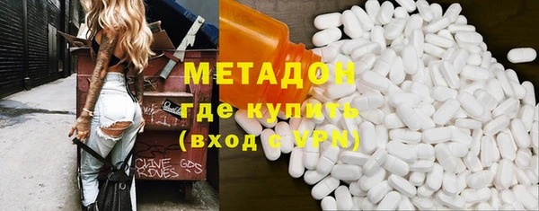 индика Каменногорск