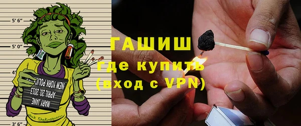 индика Киреевск