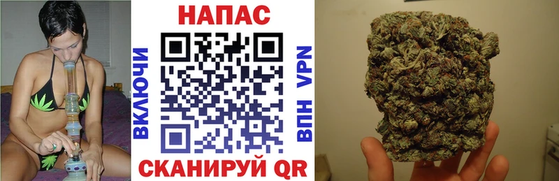 Марихуана планчик  Опочка 